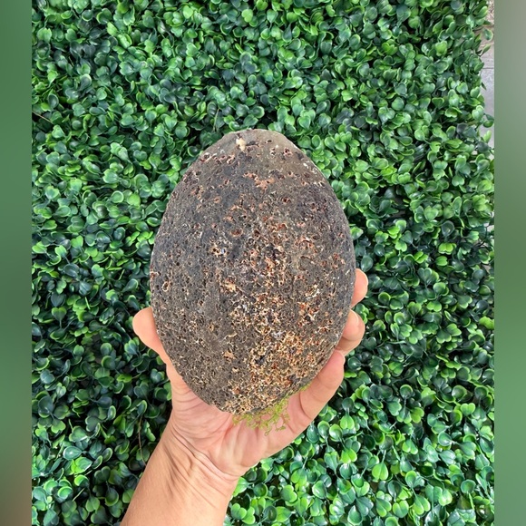 Parrot carving on Agate Geode - Picture 6 of 7